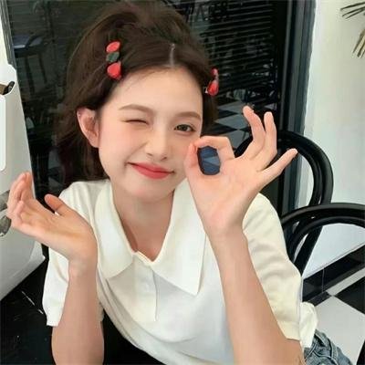 哈莱姆的郁金香